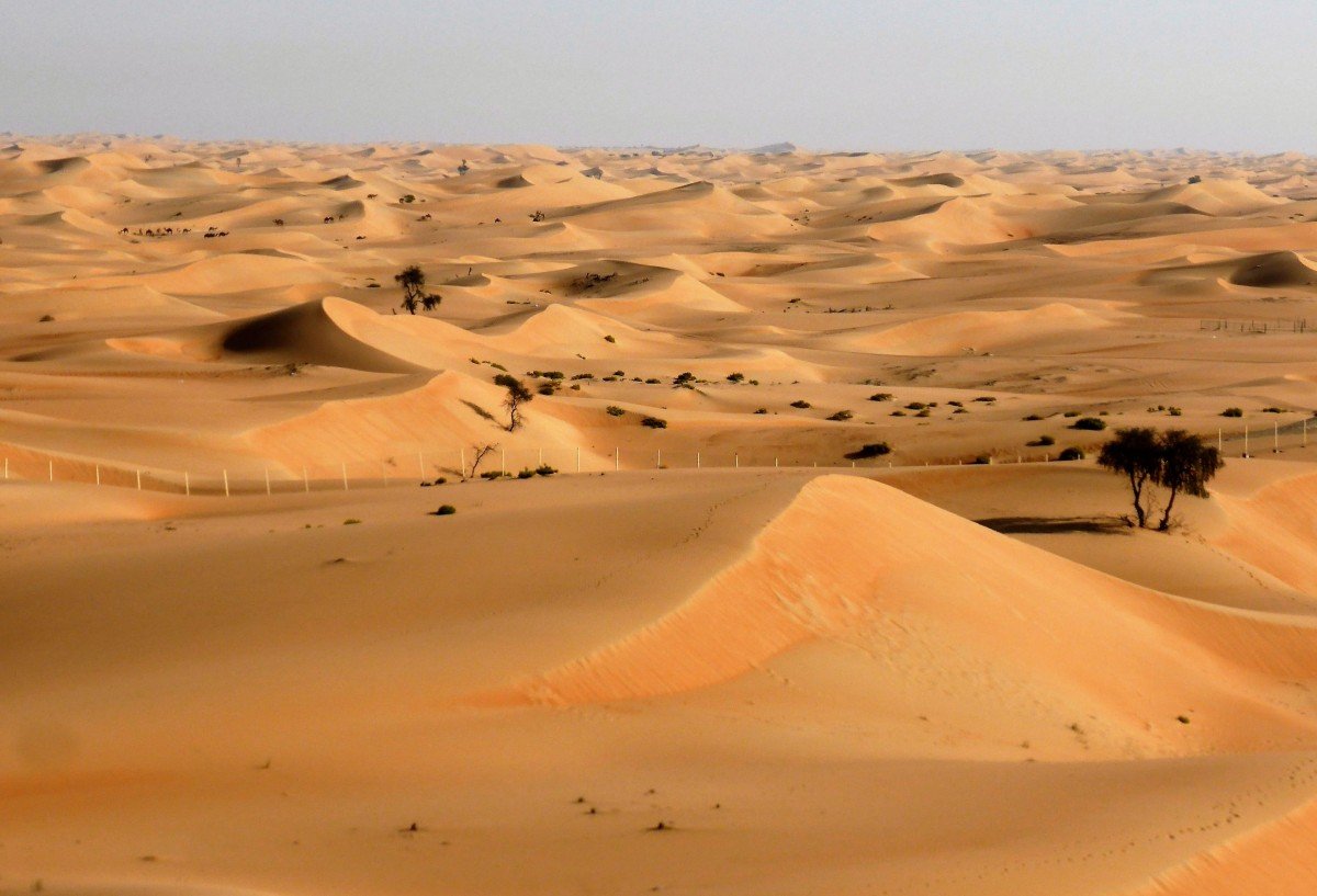 Free Images : landscape, desert, dune, formation, dry, dubai, grassland ...
